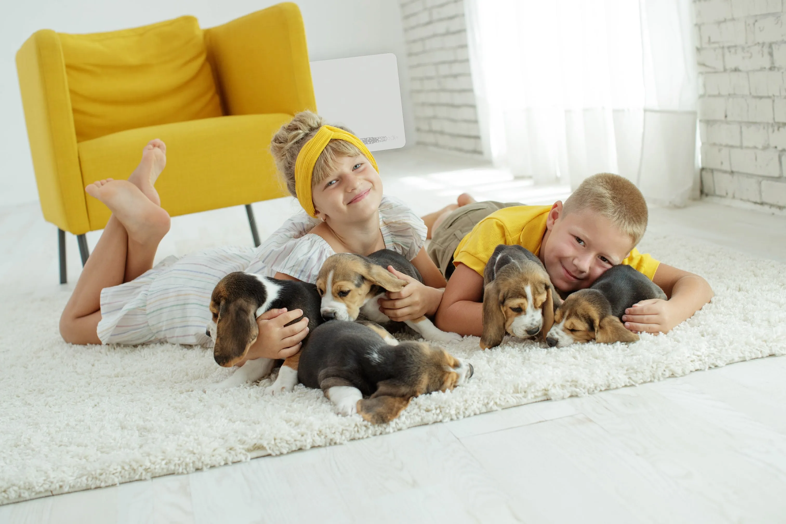 Children and dachshunds on a living-room carpet